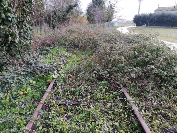Pollegioni: iniziata la pulizia della tratta ferroviaria Fano Urbino