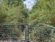 Udc Fano: “La cura del verde pubblico è nel dimenticatoio”