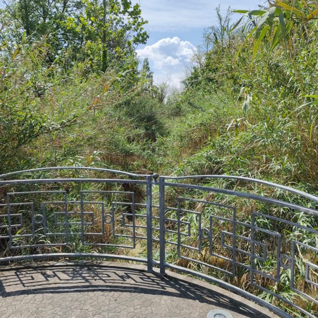 Udc Fano: “La cura del verde pubblico è nel dimenticatoio”