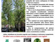 Alberi in viale Cairoli a Fano, sabato il sit-in. Le associazioni: “Di fronte a un progetto sbagliato non si può tacere”