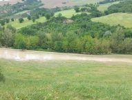 Coldiretti Marche, sos maltempo nelle campagne: “Danni incalcolabili”