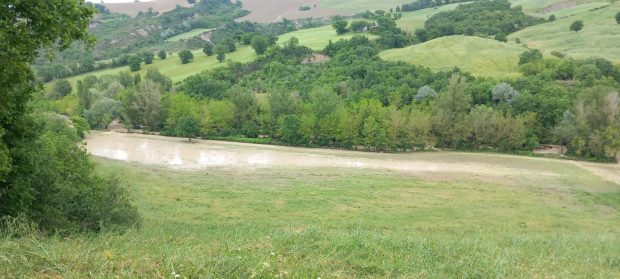 Coldiretti Marche, sos maltempo nelle campagne: “Danni incalcolabili”