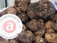 Torna la Fiera regionale del Tartufo Nero Estivo sabato 29 e domenica 30 luglio