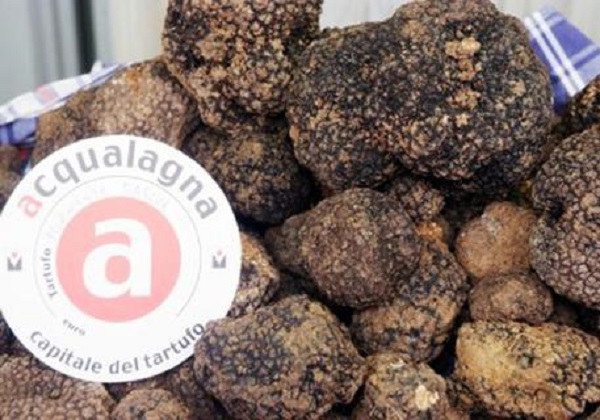 Torna la Fiera regionale del Tartufo Nero Estivo sabato 29 e domenica 30 luglio
