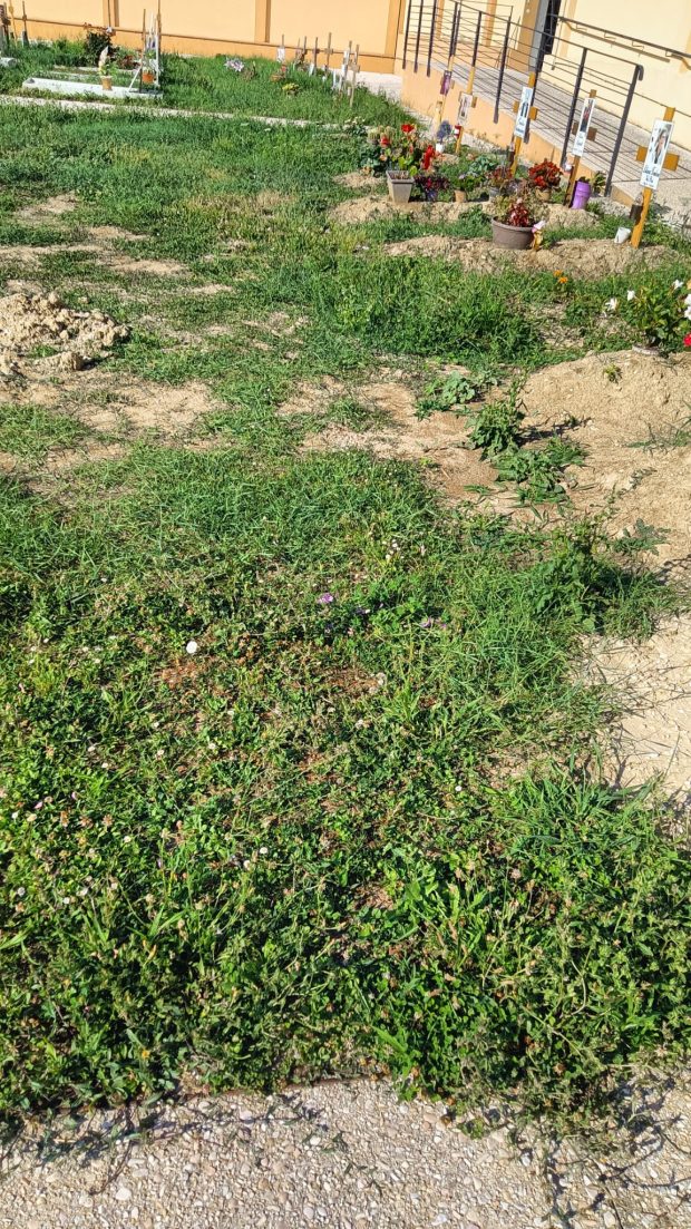 Cimitero di Rosciano, Fratelli d’Italia Fano: Erba alta e incuria