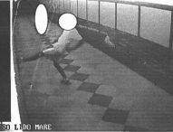 Atti vandalici nel sottopasso del Lido di Fano, identificato e deferito il giovane responsabile