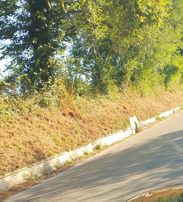 Fratelli d’Italia Fano: “Vicini alle esigenze delle periferie”