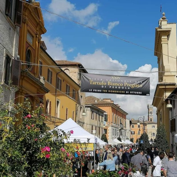 A Pergola raduni camper per la Fiera Nazionale del Tartufo bianco pregiato