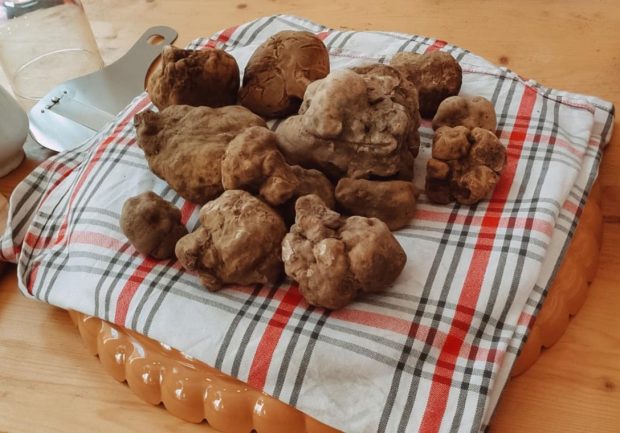 Pergola, una Fiera del Tartufo che punta alla qualità