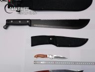 Ricercato per evasione dai domiciliari e rintracciato dai carabinieri a Gubbio, arrestato anche per coltivazione di marijuana