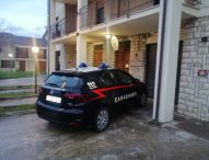 Fano, Pergola, Colli al Metauro: controllo del territorio da parte dei Carabinieri contro il degrado urbano