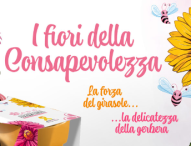 16 marzo a Pesaro e Fano gerbere rosa e semi di girasole a sostegno dell’Associazione Progetto Endometriosi 