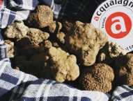 Acqualagna, tornano la Fiera regionale del Tartufo Nero pregiato e il Carnevale al Tartufo
