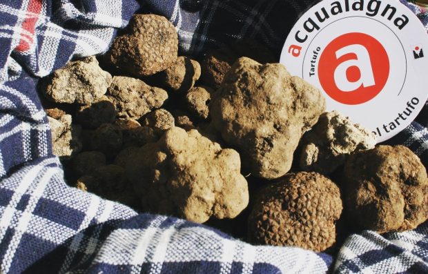 Acqualagna, tornano la Fiera regionale del Tartufo Nero pregiato e il Carnevale al Tartufo
