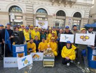 Apicoltura italiana a rischio collasso: sit in per più di 150 apicoltori delle Marche