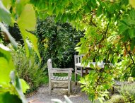 L’arte di arredare: come creare il salotto da giardino dei tuoi sogni