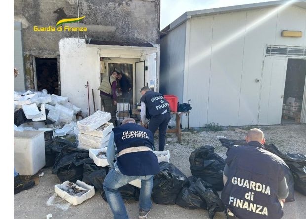 Marche, operazione della Guardia di finanza e della Guardia costiera a tutela delle eccellenze alimentari italiane