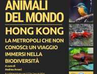 Fano, eventi a Casa Archilei: al via ‘Animali del mondo’