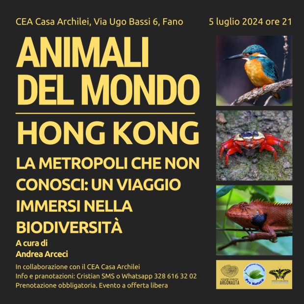 Fano, eventi a Casa Archilei: al via ‘Animali del mondo’
