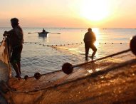 Torna la Festa della tratta di Marotta con la 14esima edizione