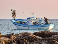 Coldiretti Pesca Marche: “La nostra vongola da valorizzare, sosteniamo l’iter verso la Purassa IGP”