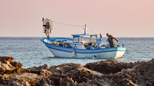 Coldiretti Pesca Marche: “La nostra vongola da valorizzare, sosteniamo l’iter verso la Purassa IGP”