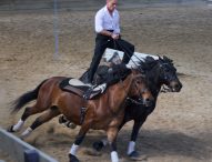 Torna Cantiano Fiera Cavalli il 13 e 20 ottobre