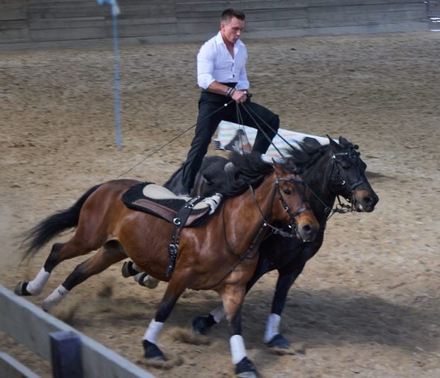 Torna Cantiano Fiera Cavalli il 13 e 20 ottobre