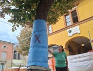 Fano, in Piazza Costa al via la sostituzione dei tigli malati