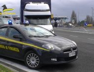 Guardia di finanza Pesaro Urbino: per contrastare gli illeciti in azione le unità antidroga con i cani Ebro e Alex