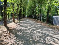 Delvecchio (FdI): “Parco dei Passeggi, polmone verde da riqualificare per il bene di Fano”