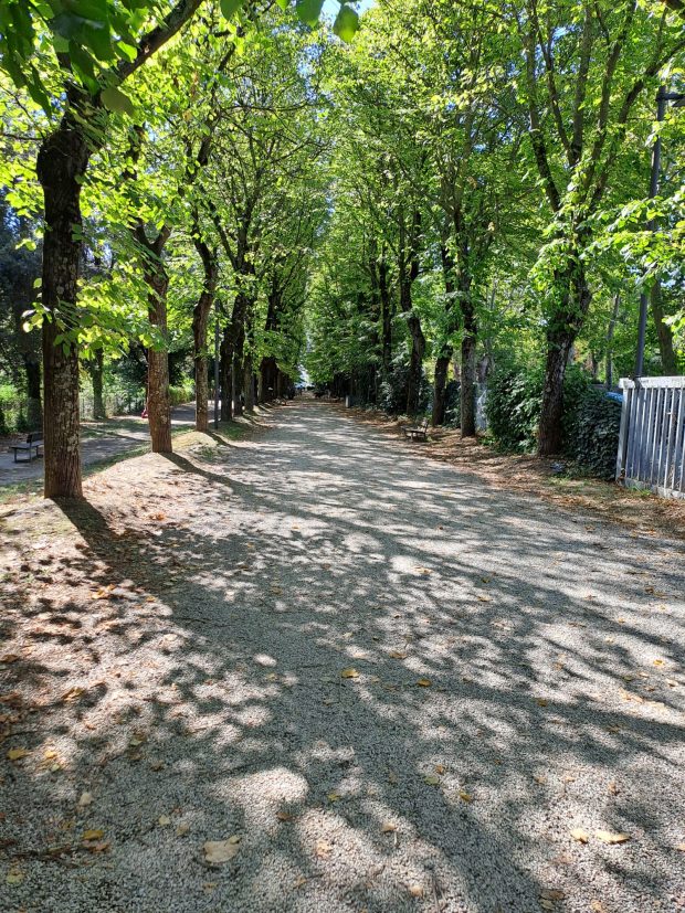 Delvecchio (FdI): “Parco dei Passeggi, polmone verde da riqualificare per il bene di Fano”