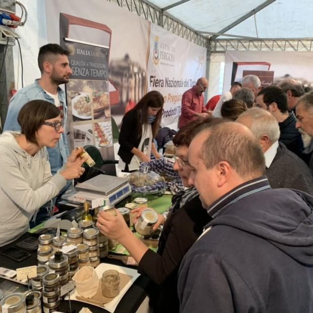 Cucina, cultura, spettacoli e il treno storico: al via la Fiera nazionale del Tartufo Bianco pregiato di Pergola