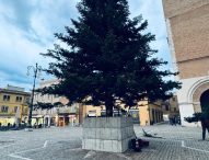 Fano, posizionato in piazza XX settembre l’albero di Natale