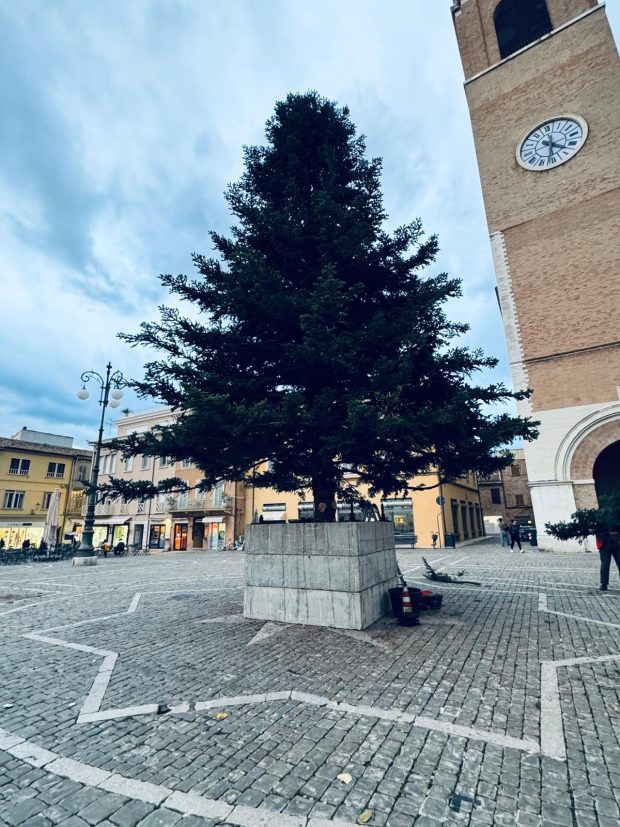 Fano, posizionato in piazza XX settembre l’albero di Natale
