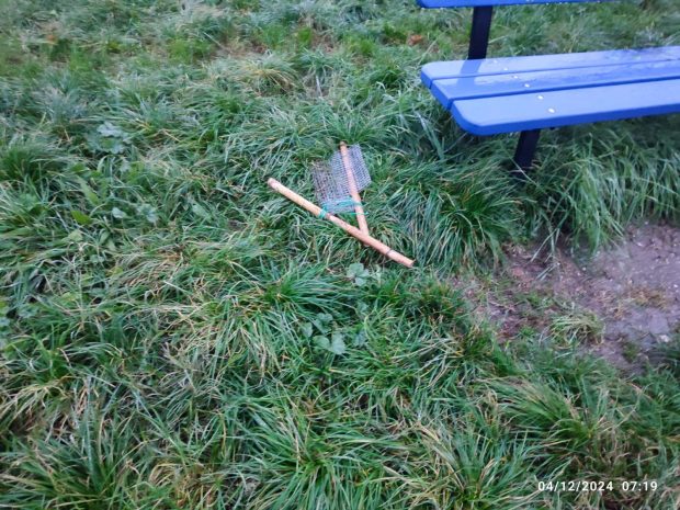 Panaroni (MoVimento 5 Stelle Fano): “Vergogna, atti vandalici sugli alberelli piantati a San Lazzaro”