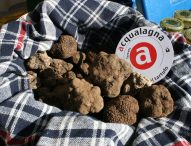 Torna il Carnevale di Acqualagna: sfilate in maschera e premi al tartufo