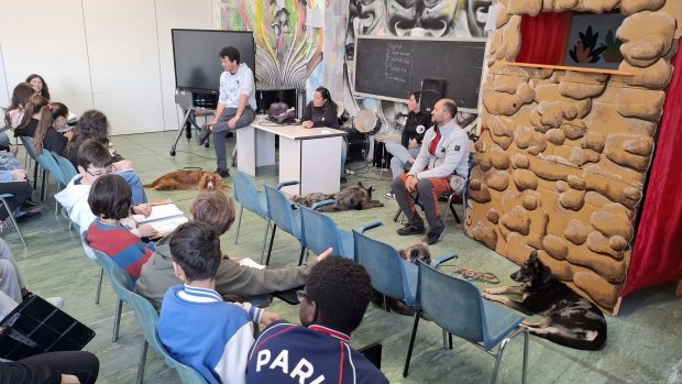 ‘Un amico a quattro zampe’: veterinari ed educatori cinofili all’istituto Gandiglio di Fano
