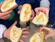 Successo per “Miele a Merenda”: coinvolte 900 classi e 17mila studenti delle Marche
