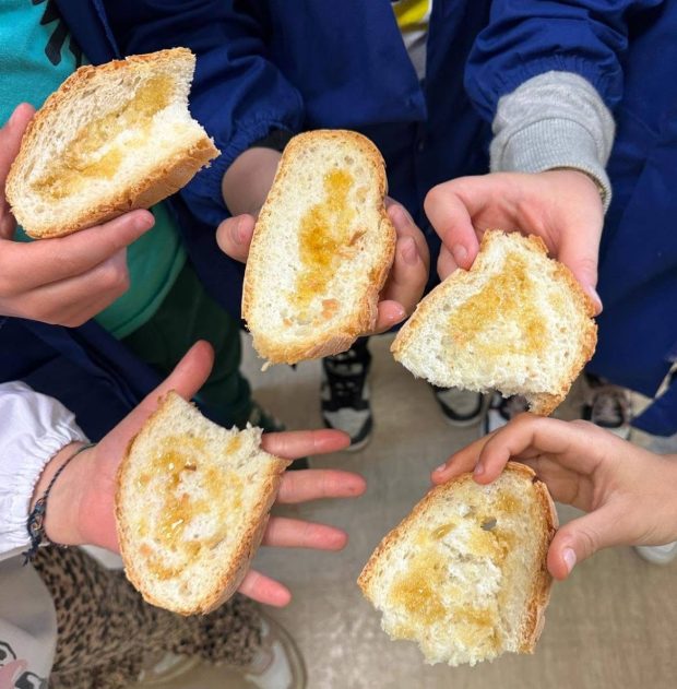Successo per “Miele a Merenda”: coinvolte 900 classi e 17mila studenti delle Marche