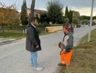 Fano, verde pubblico e cigli stradali: al via gli interventi su tutto il territorio comunale