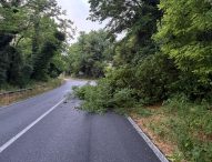 Maltempo, oltre 30 interventi della Provincia Pesaro Urbino nelle strade