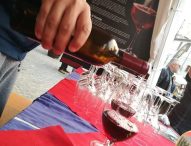 Festa del Vino, a Pergola si celebrano i 20 anni del Pergola Doc dal 25 al 27 luglio