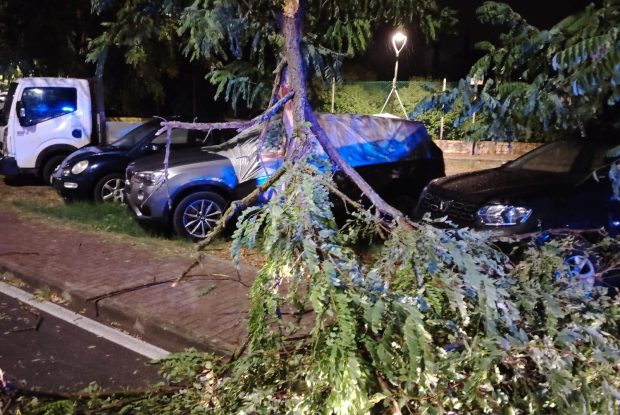 Maltempo a Fano, notte di lavoro per rimuovere gli alberi dalle strade