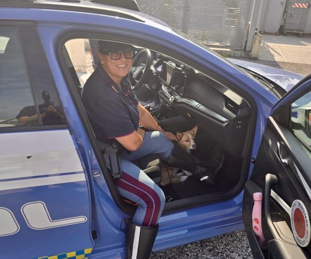 Cane dimenticato in autogrill ritrovato in A14: lieto fine grazie alla Polizia stradale di Fano