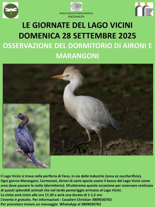 Fano, Giornate del Lago Vicini: osservazione di aironi e marangoni domenica 28 settembre