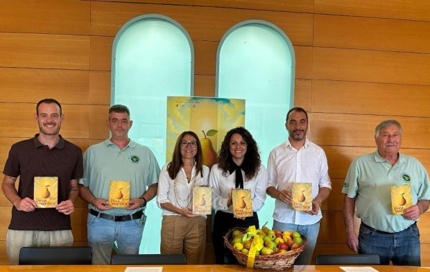 Serrungarina, torna la festa della Pera Angelica