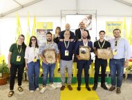 Ecco i vincitori marchigiani degli Oscar Green 2025