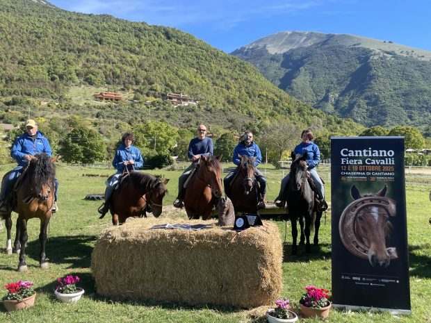 Tutto pronto per la Cantiano Fiera Cavalli