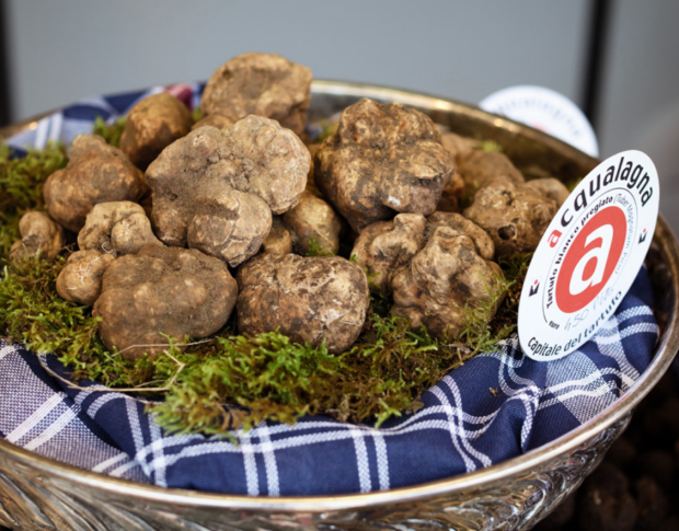 Acqualagna, al via la 60esima Fiera Internazionale del Tartufo Bianco